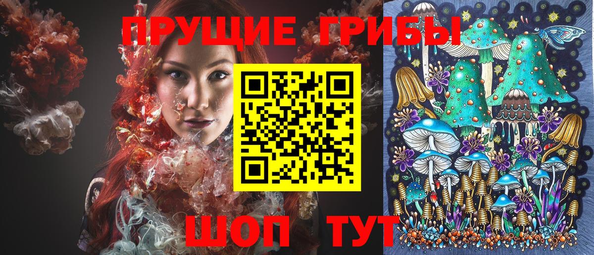 Псилоцибиновые грибы Psilocybine cubensis Усть-Джегута
